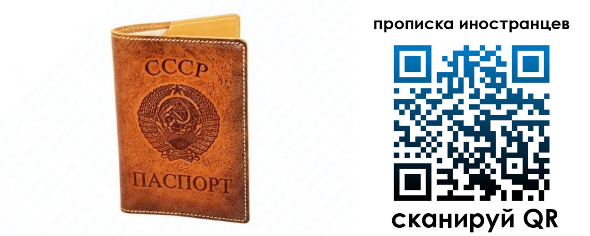 прописка для школы в Городце